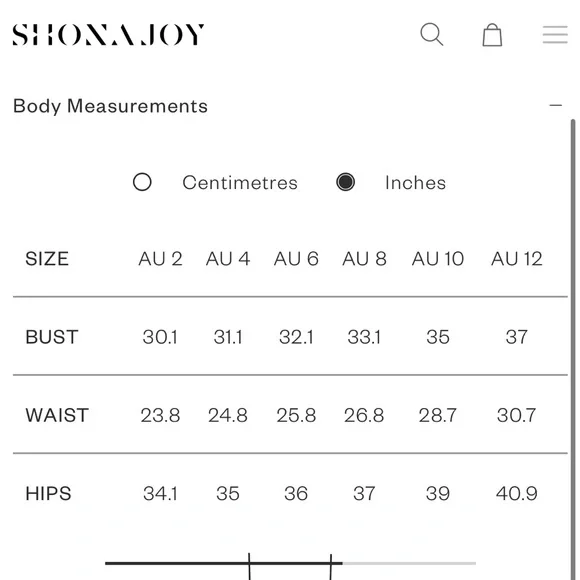 Shona Joy Limon Panelled Bustier Maxi Dress - US 4 *BNWT* - Picture 12 of 13